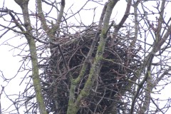 Vogelkunde-Frau-Veh-2023-5