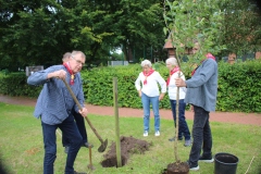 Baum-Challange-2025-1