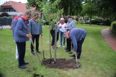 Baum-Challange-2025-12