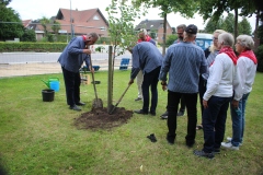 Baum-Challange-2025-16