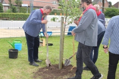 Baum-Challange-2025-17