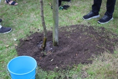 Baum-Challange-2025-18