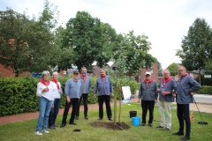 Baum-Challange-2025-24