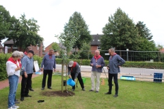 Baum-Challange-2025-29