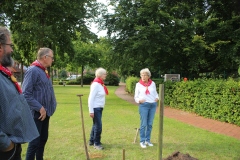 Baum-Challange-2025-5