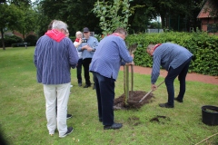 Baum-Challange-2025-9