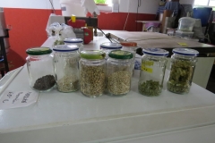 Brauerei Ahrend (16)