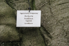 Emsbüren- (13)